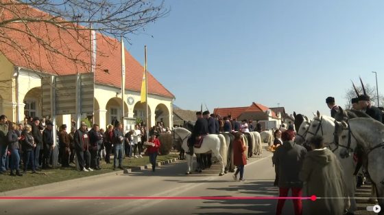 [Plava vinkovačka] Pokladno jahanje u Babinoj Gredi