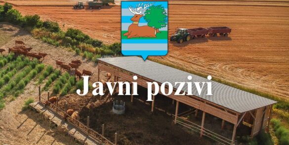 Javni poziv
