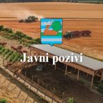 Javni pozivi