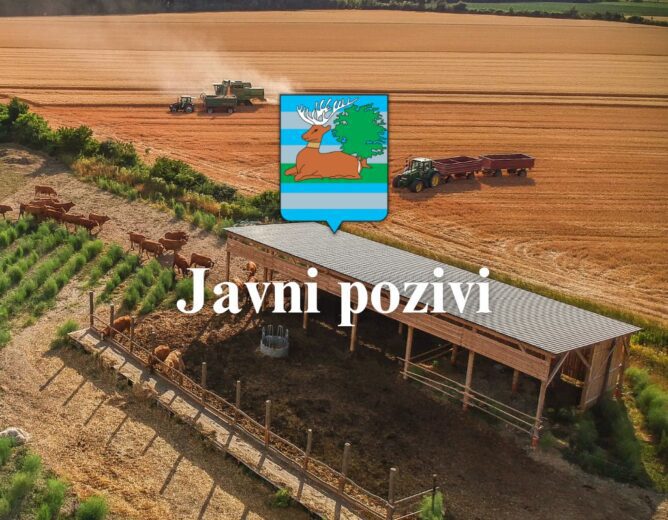 Javni pozivi