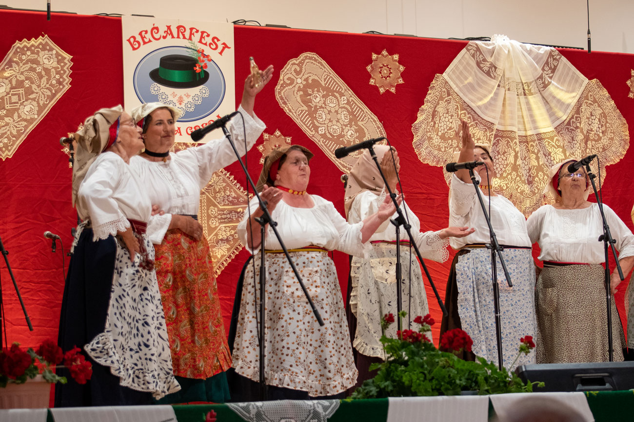 Bećarfest