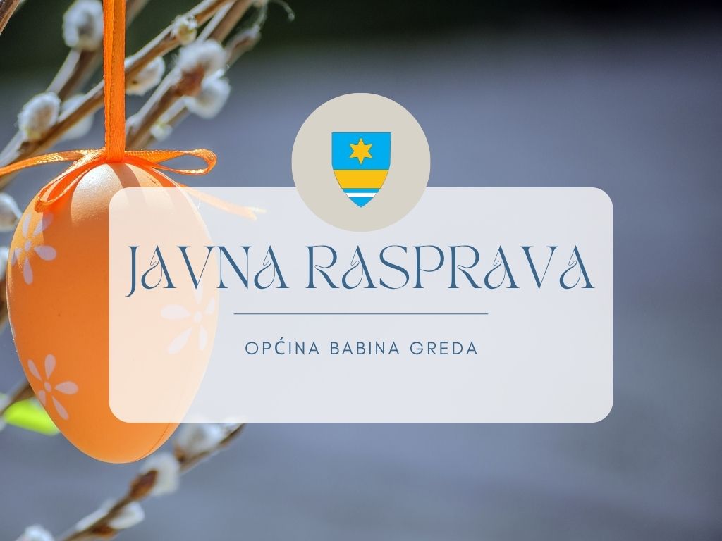 Javna rasprava
